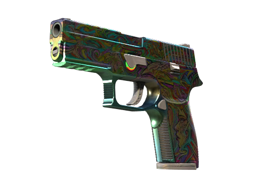 P250 Visions
