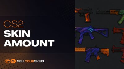 CS2 Skin Amount