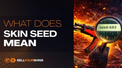 What Does Skin Seed Mean in CS2?