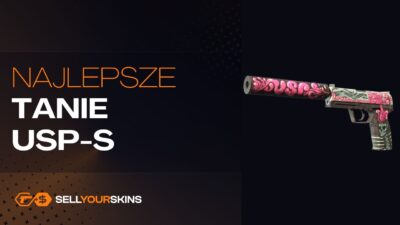 Najlepsze tanie skiny USP-S w CS2