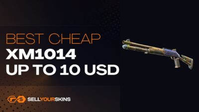 Best cheap XM1014 skins in CS2 up to 10 USD