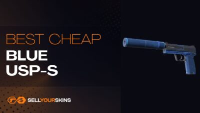 Best cheap blue USP-S skins in CS2