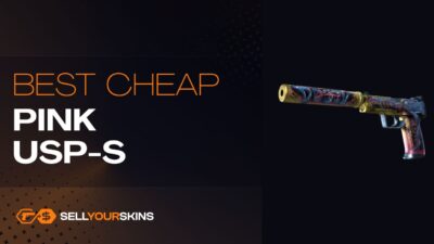 Best cheap pink USP-S skins in CS2