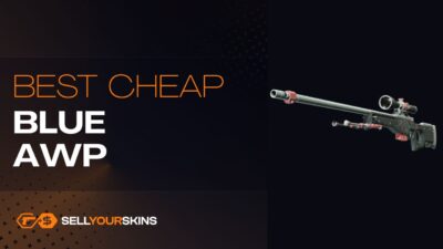 Best cheap blue skins AWP in CS2