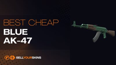 Best Cheap blue skins AK-47 in CS2