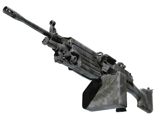M249 | Palma północy