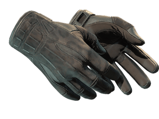 ★ Sport Gloves | Nocts