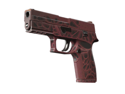 P250 | Zanieczyszczenie