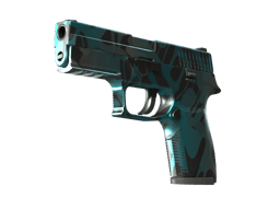 P250 | Plusk
