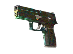 P250 | Visions