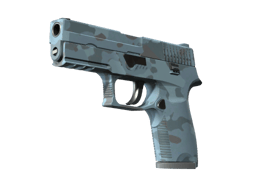 P250 | Nocny las
