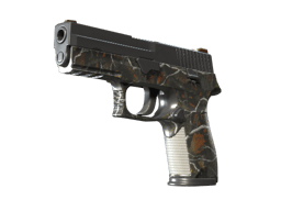 P250 | Nieduża sztuka