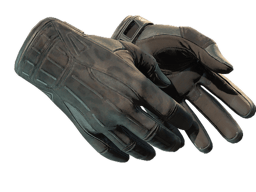 ★ Sport Gloves | Nocts