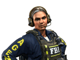 Agentka specjalna Ava | FBI