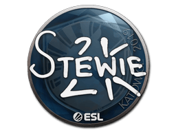 Naklejka | Stewie2K | Katowice 2019