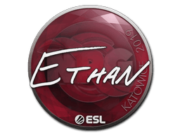 Naklejka | Ethan | Katowice 2019