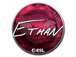 Naklejka | Ethan (foliowana) | Katowice 2019