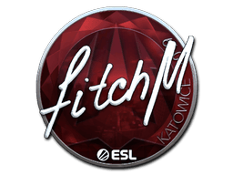 Naklejka | fitch (foliowana) | Katowice 2019