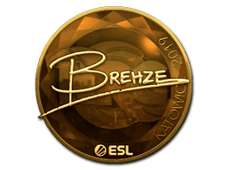 Naklejka | Brehze (złota) | Katowice 2019