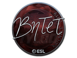 Naklejka | BnTeT (foliowana) | Katowice 2019