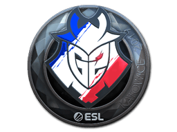 Naklejka | G2 Esports (foliowana) | Katowice 2019