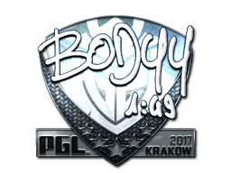 Naklejka | bodyy (foliowana) | Kraków 2017