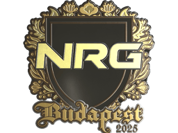 Sticker | NRG (Gold) | Budapest 2025