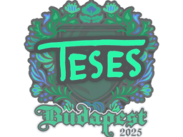 Sticker | TeSeS | Budapest 2025