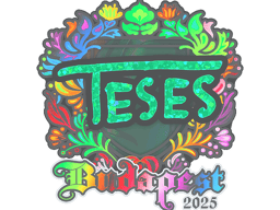 Sticker | TeSeS (Holo) | Budapest 2025