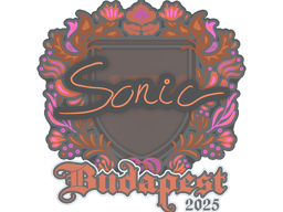 Sticker | Sonic | Budapest 2025