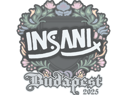 Sticker | insani | Budapest 2025