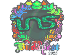 Sticker | INS (Holo) | Budapest 2025