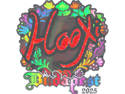Sticker | HooXi (Holo) | Budapest 2025