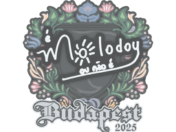 Sticker | molodoy | Budapest 2025