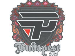 Sticker | paiN Gaming | Budapest 2025