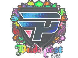 Sticker | paiN Gaming (Holo) | Budapest 2025