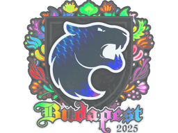 Sticker | FURIA (Holo) | Budapest 2025