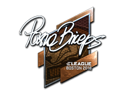 Naklejka | pashaBiceps (foliowana) | Boston 2018
