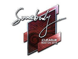 Naklejka | somebody (foliowana) | Boston 2018
