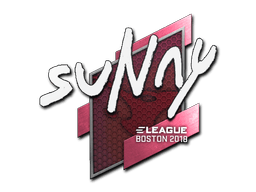 Naklejka | suNny | Boston 2018