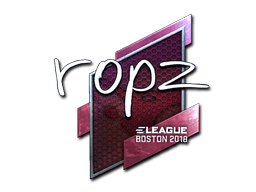 Naklejka | ropz (foliowana) | Boston 2018