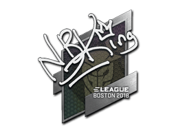 Naklejka | NBK- | Boston 2018