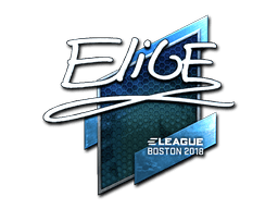 Naklejka | EliGE (foliowana) | Boston 2018