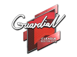 Naklejka | GuardiaN | Boston 2018
