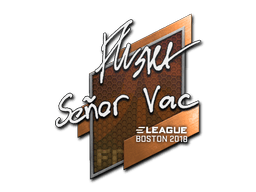 Naklejka | flusha | Boston 2018