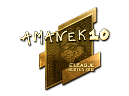 Naklejka | AmaNEk (złota) | Boston 2018