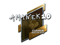 Naklejka | AmaNEk (foliowana) | Boston 2018