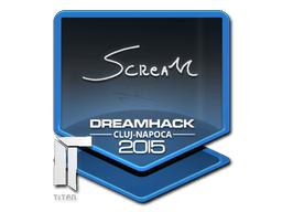 Naklejka | ScreaM | Kluż-Napoka 2015
