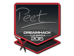 Naklejka | peet | Kluż-Napoka 2015