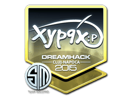 Naklejka | Xyp9x (foliowana) | Kluż-Napoka 2015